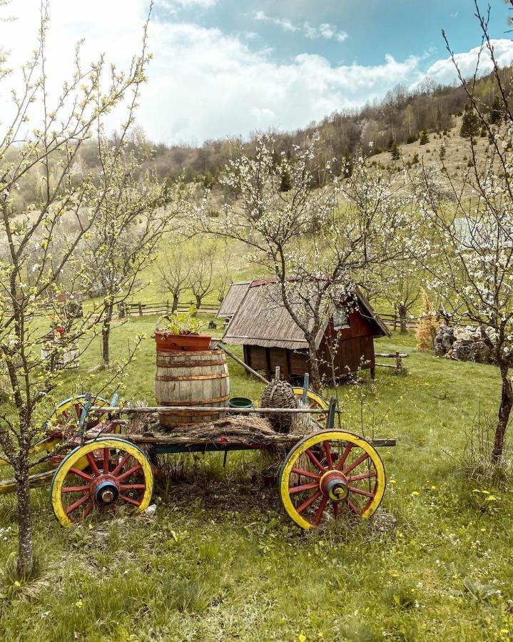Log Cabin Uvac Нова-Варош Номер фото