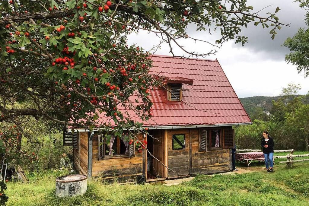 Log Cabin Uvac Нова-Варош Экстерьер фото
